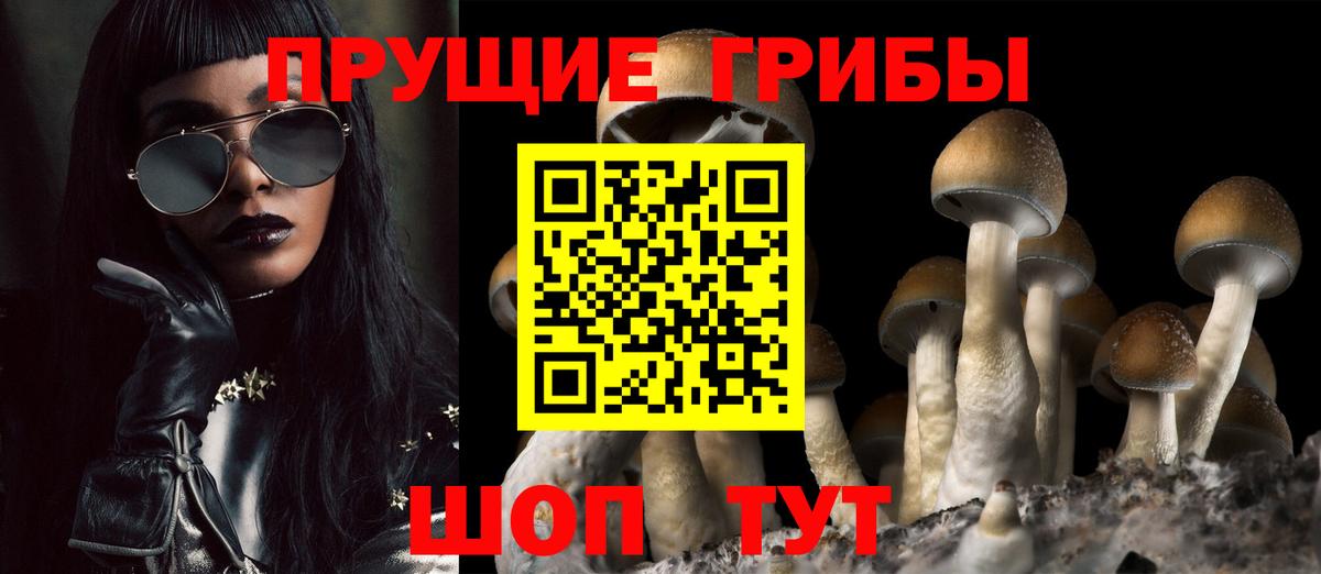 Балашиха  купить наркоту  Вход с VPN  Галлюциногенные грибы Psilocybine cubensis 
